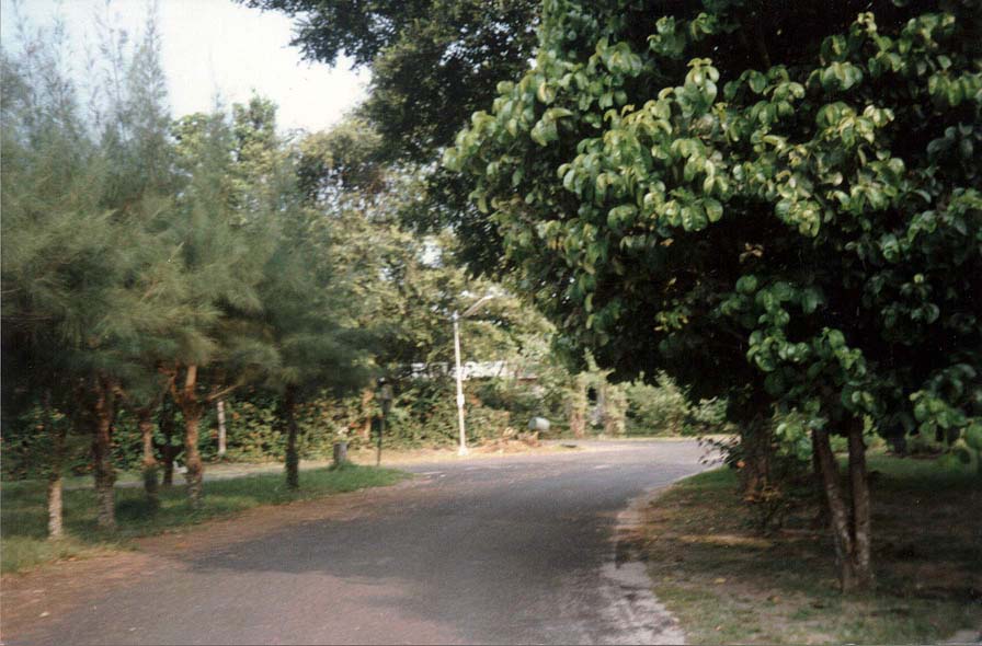 Road1